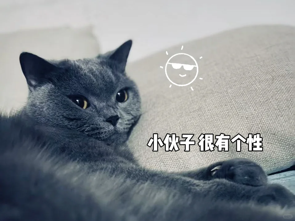 研二闯关Day8|卸载这些APP，我的焦虑症好了