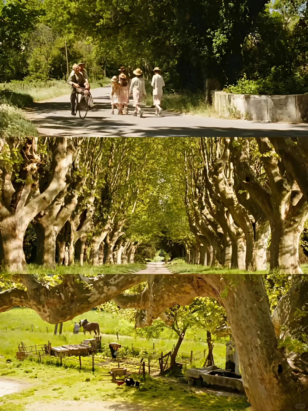 内心要有多幸福，才能拍出这样的电影🌈