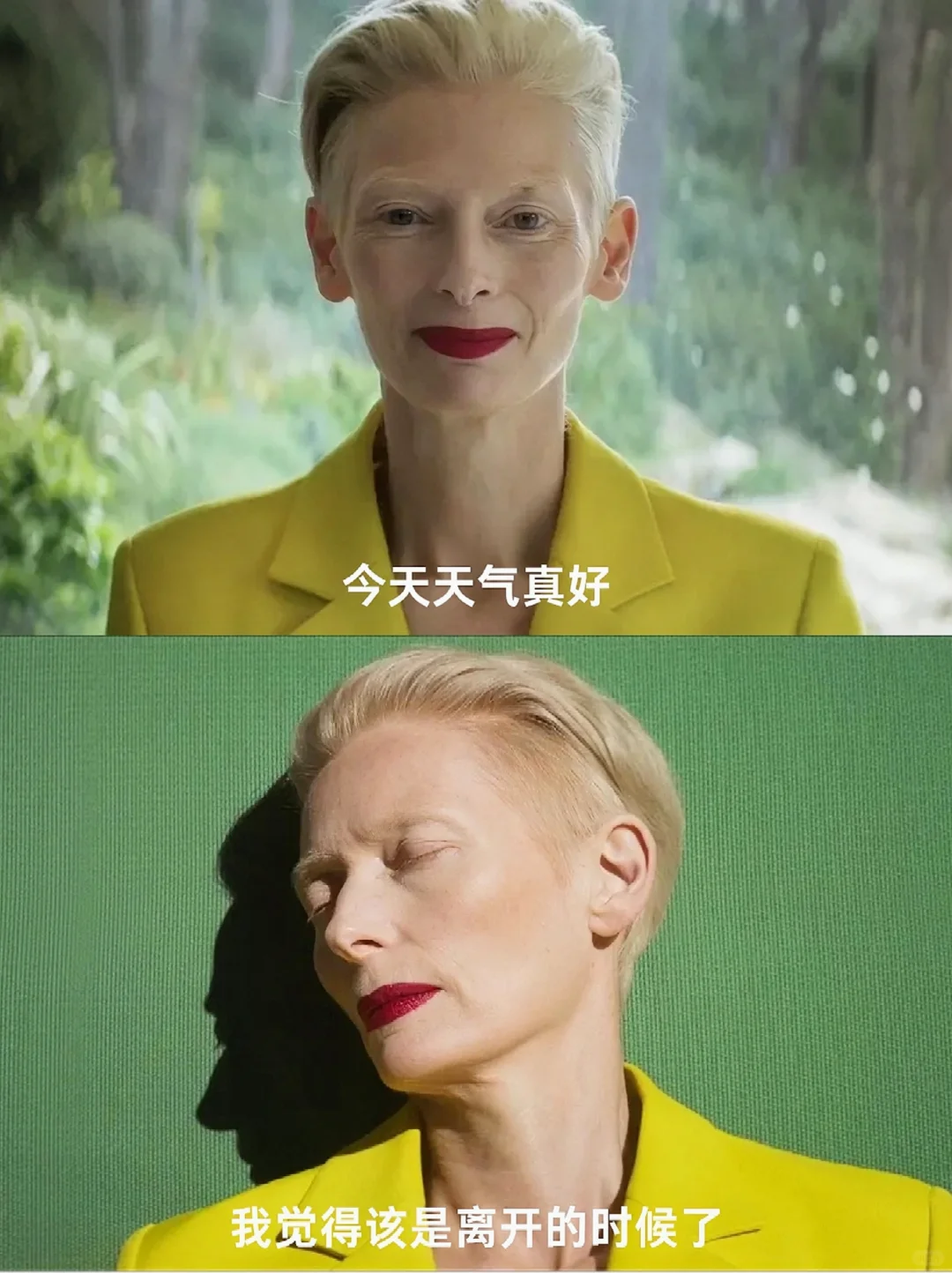 好震撼😭从未想过这是死亡的颜色...