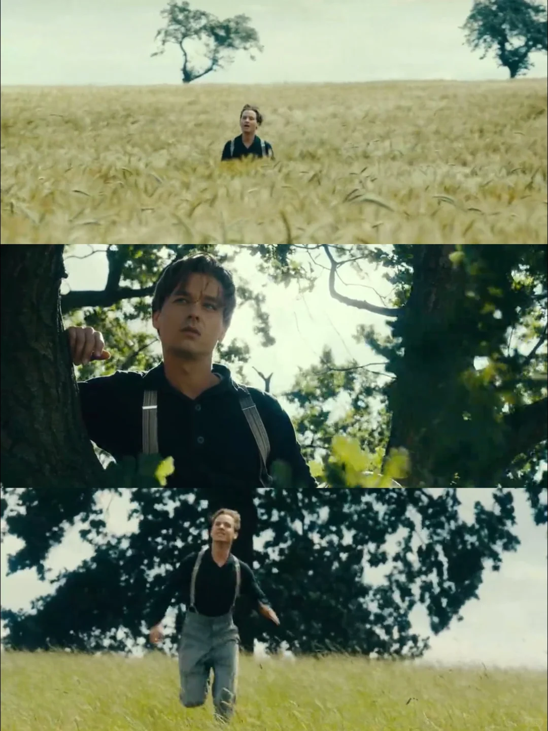 颠覆认知的高分电影🔥看完后就再也回不去了