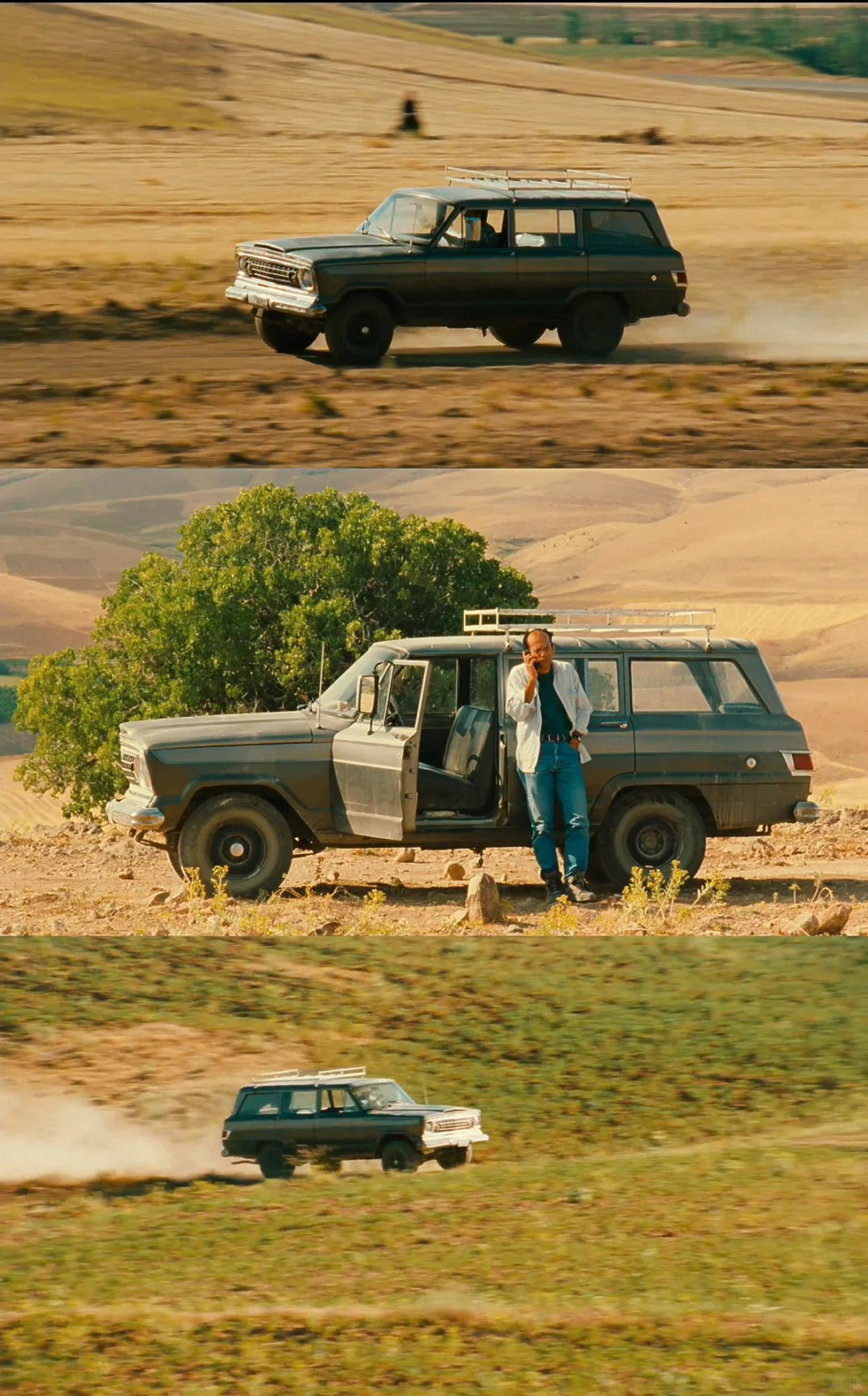 电影大师顶级审美❗️是诗是画也是生活本身🥹