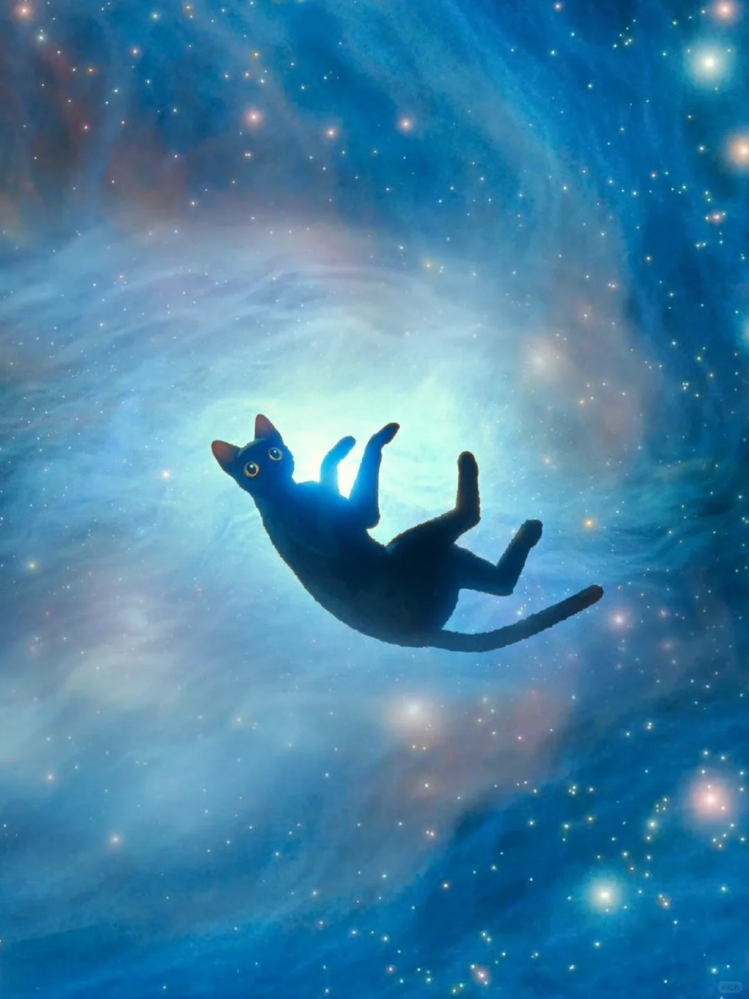 可能是今年最佳的动画长片