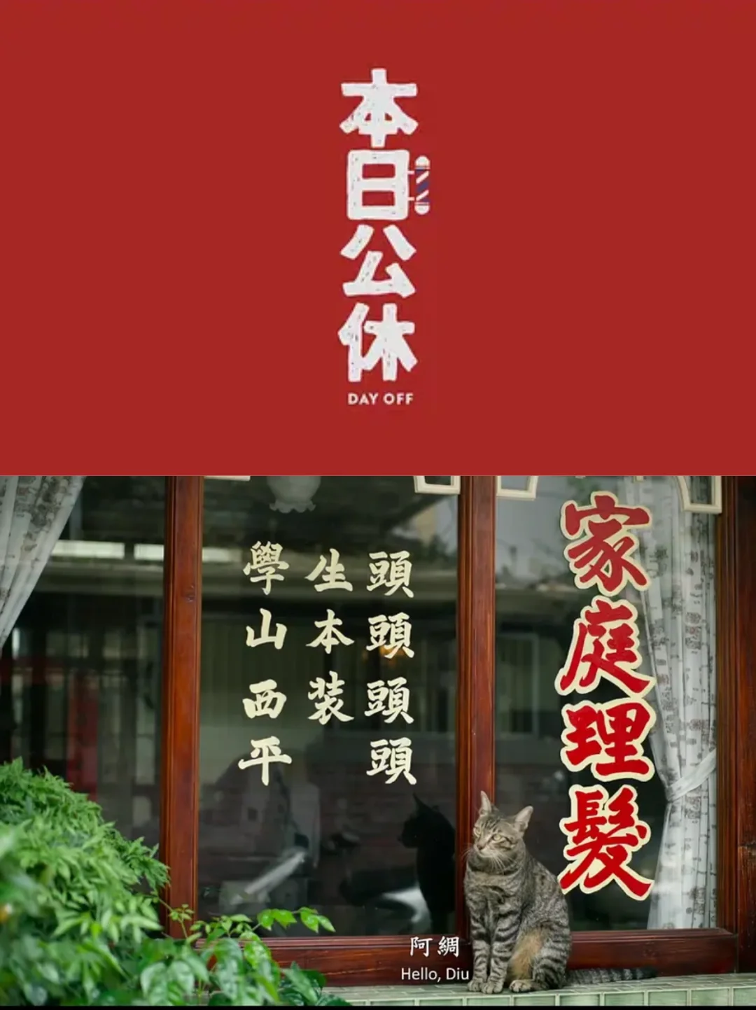 🎬打卡100部电影：第60部