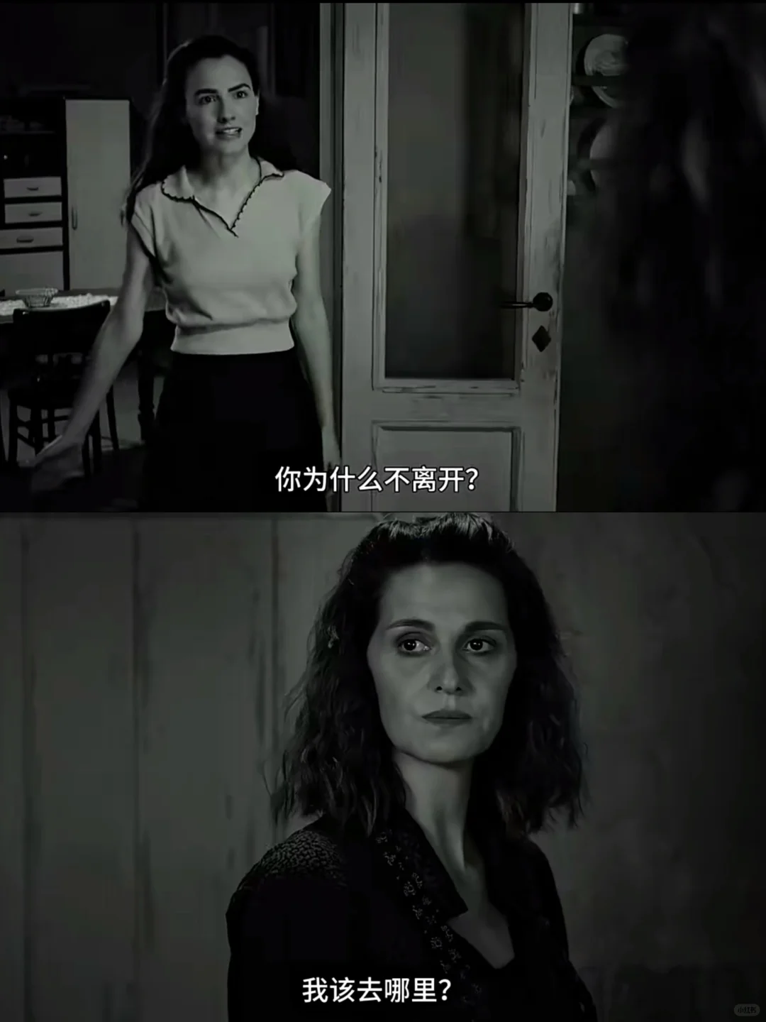 去年发过的电影🎬今年终于引进国内了！