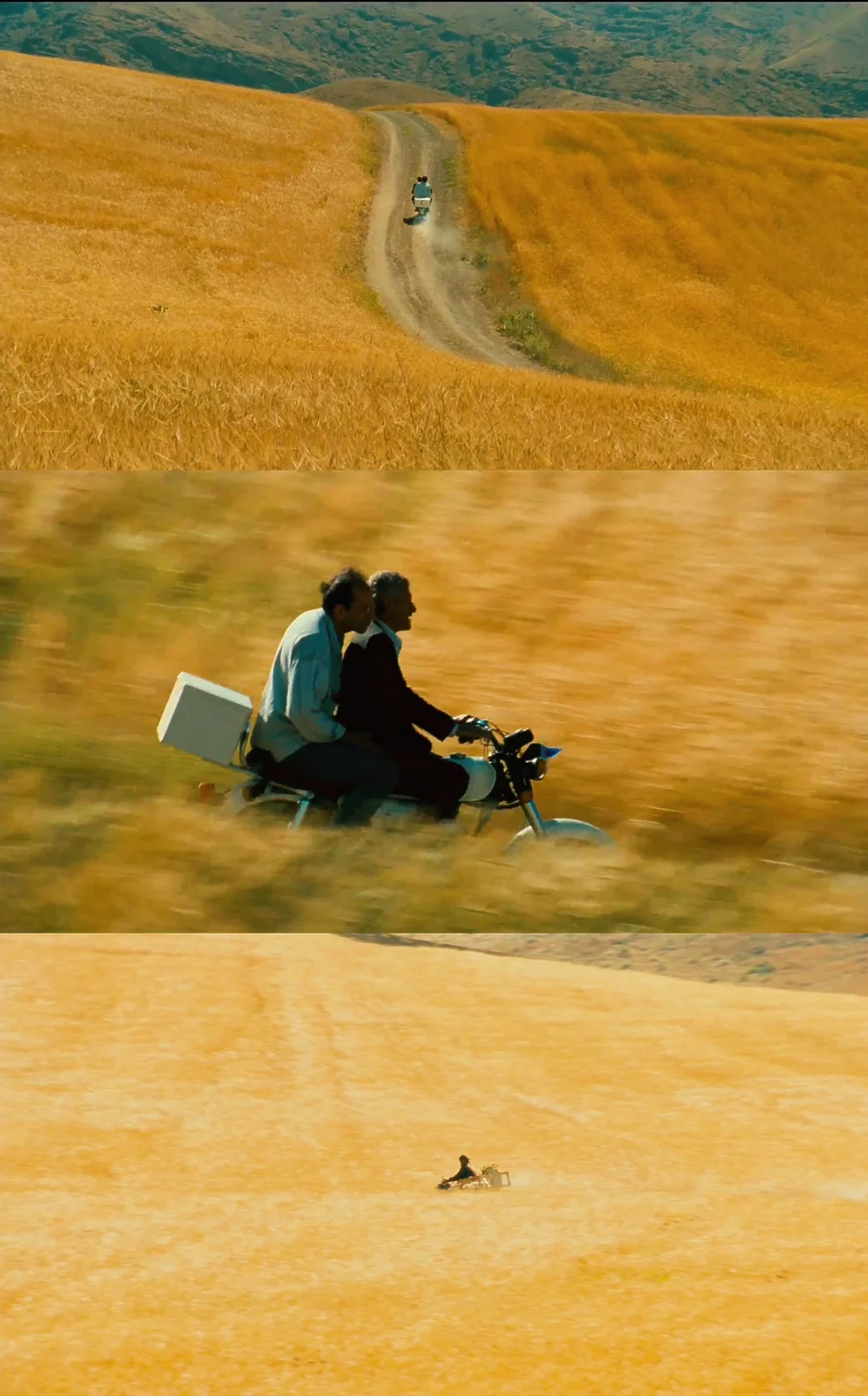 电影大师顶级审美❗️是诗是画也是生活本身🥹