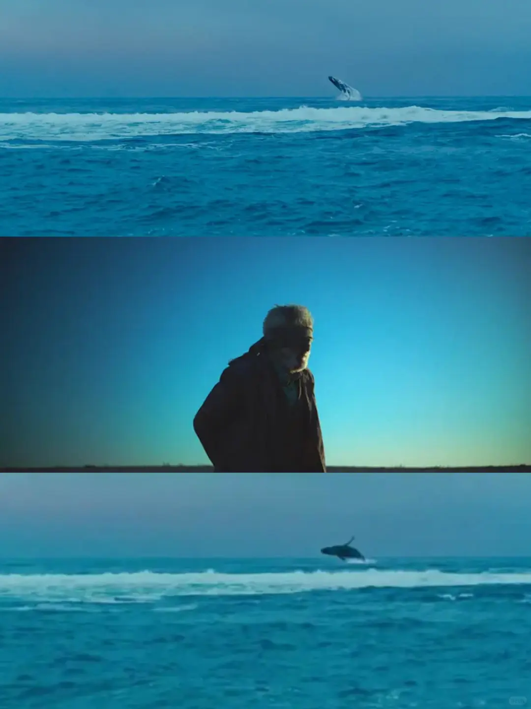 我要向全世界推荐这部电影😭后劲太大了❤️