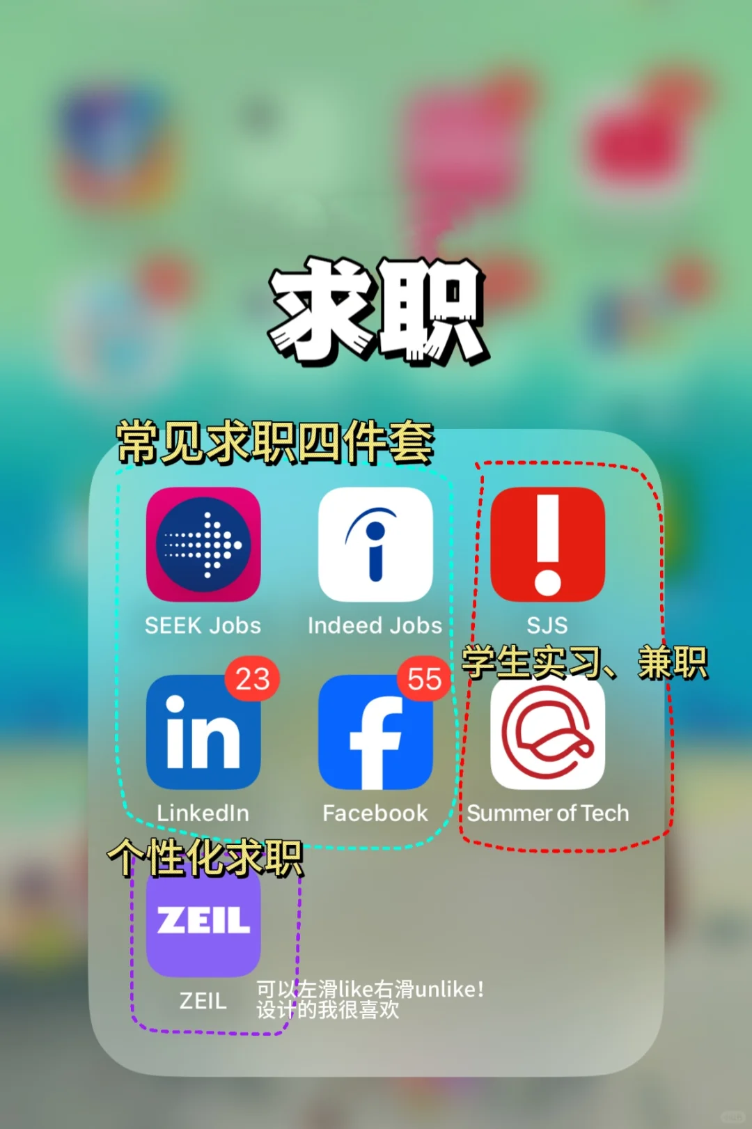 🇳🇿留子精选app｜看了不后悔系列📱