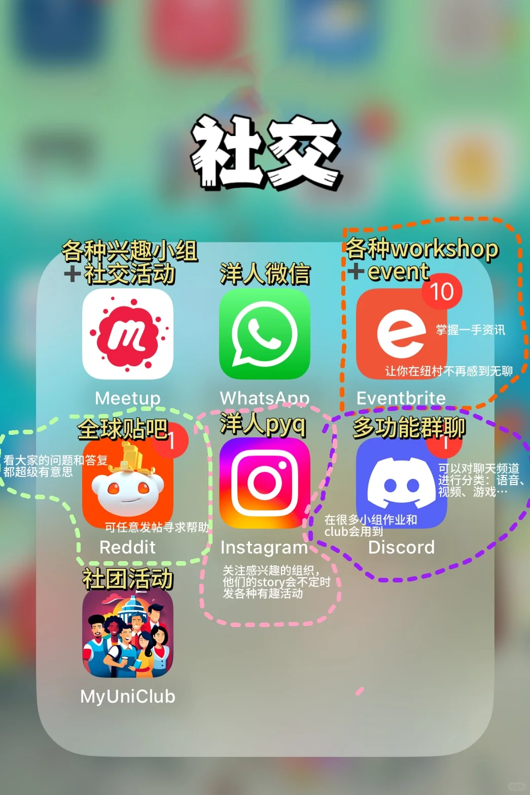 🇳🇿留子精选app｜看了不后悔系列📱
