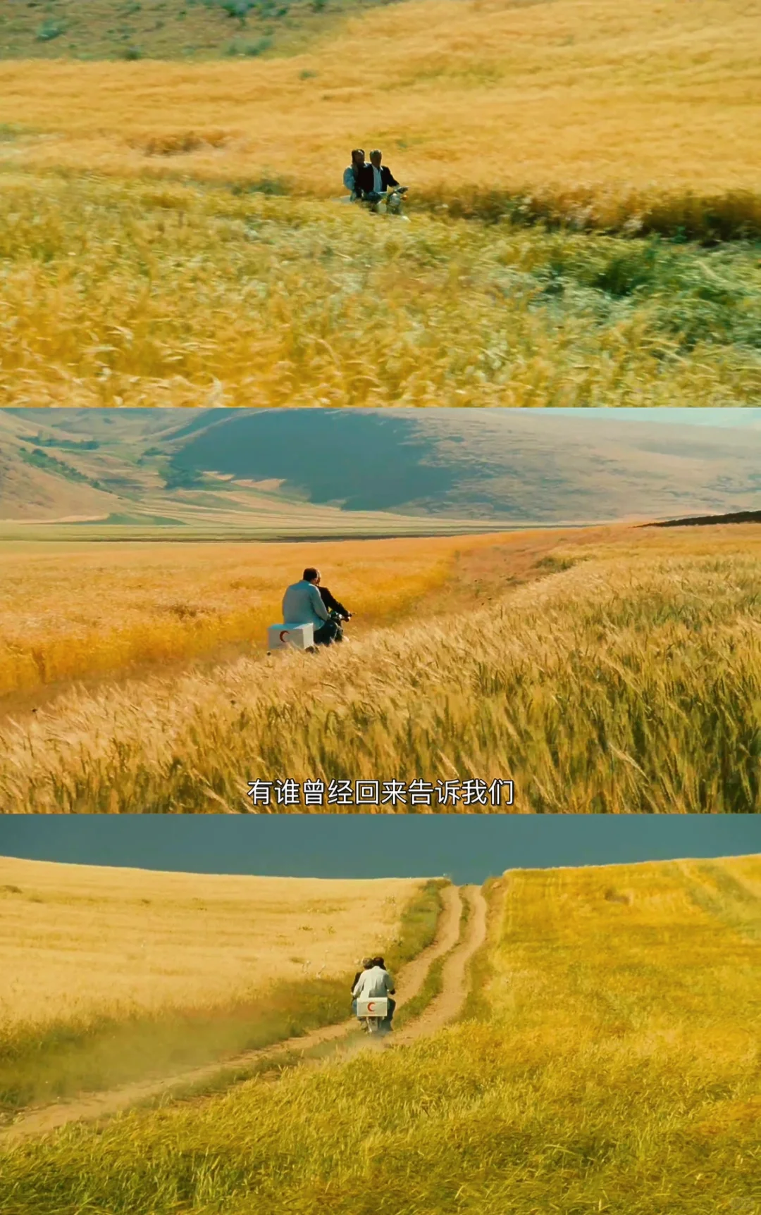 电影大师顶级审美❗️是诗是画也是生活本身🥹