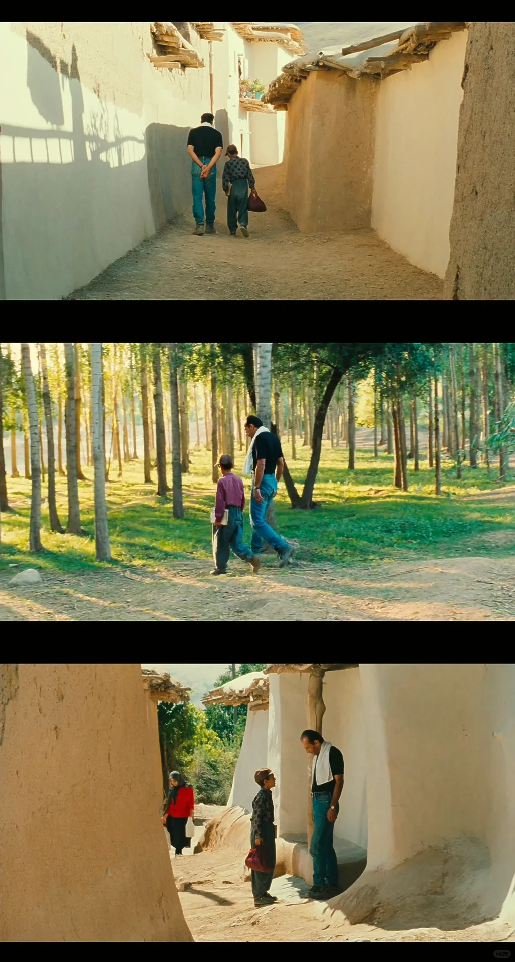 电影大师顶级审美❗️是诗是画也是生活本身🥹