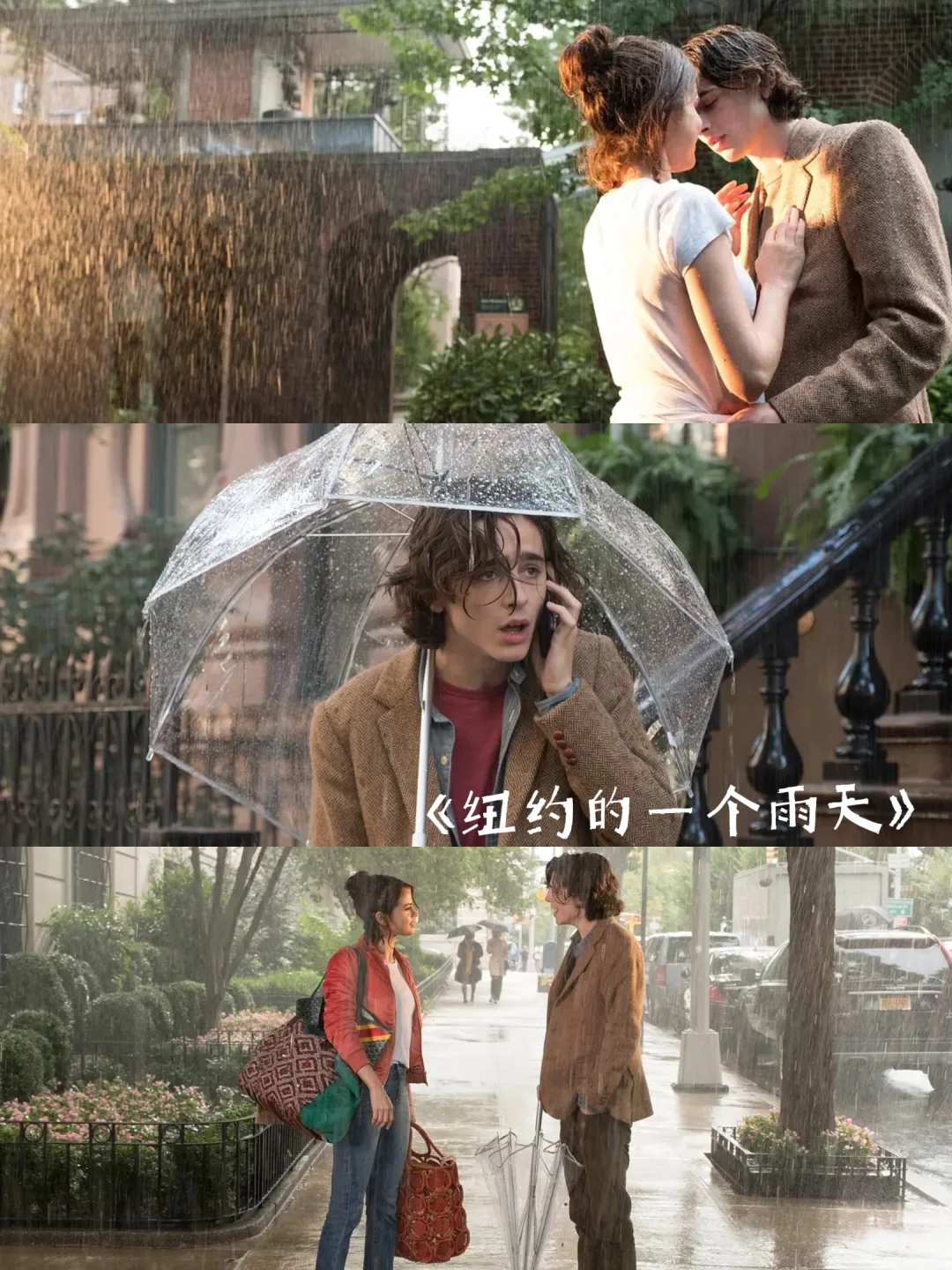 雨天影单｜氛围感拉满！这几部电影别错过