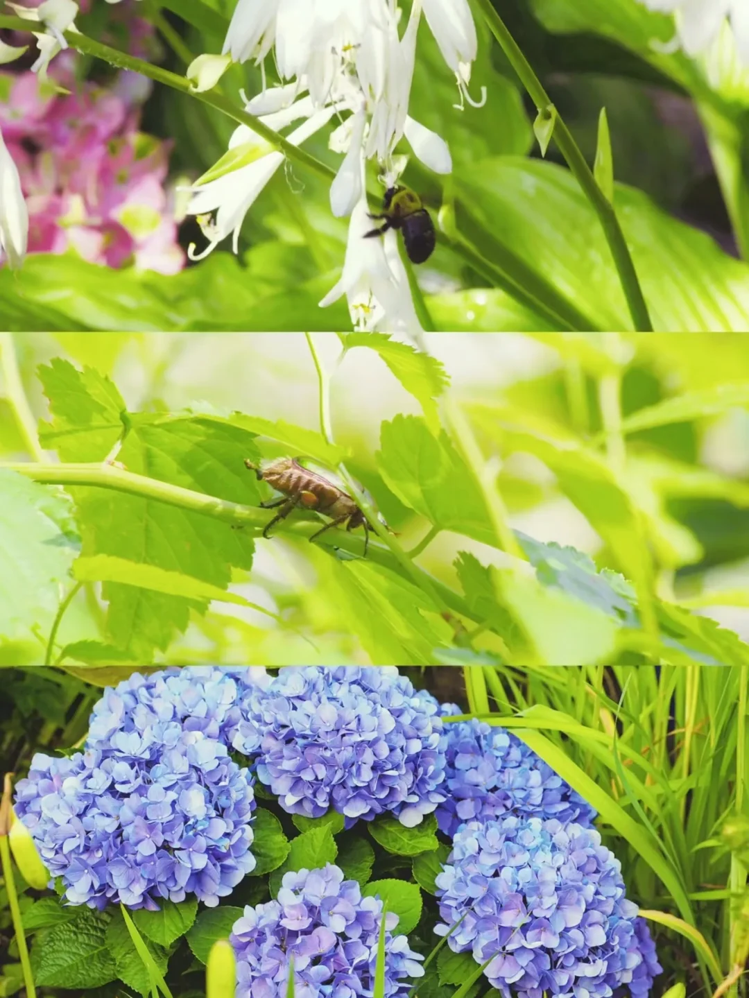 100部电影计划:第八部