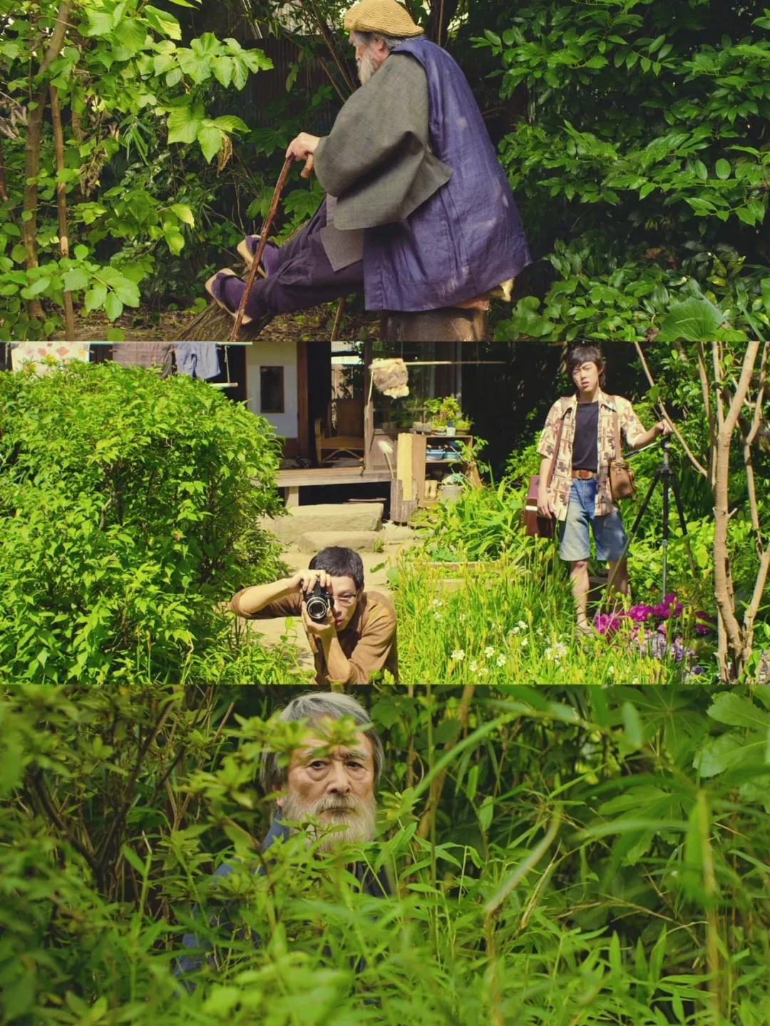 100部电影计划:第八部