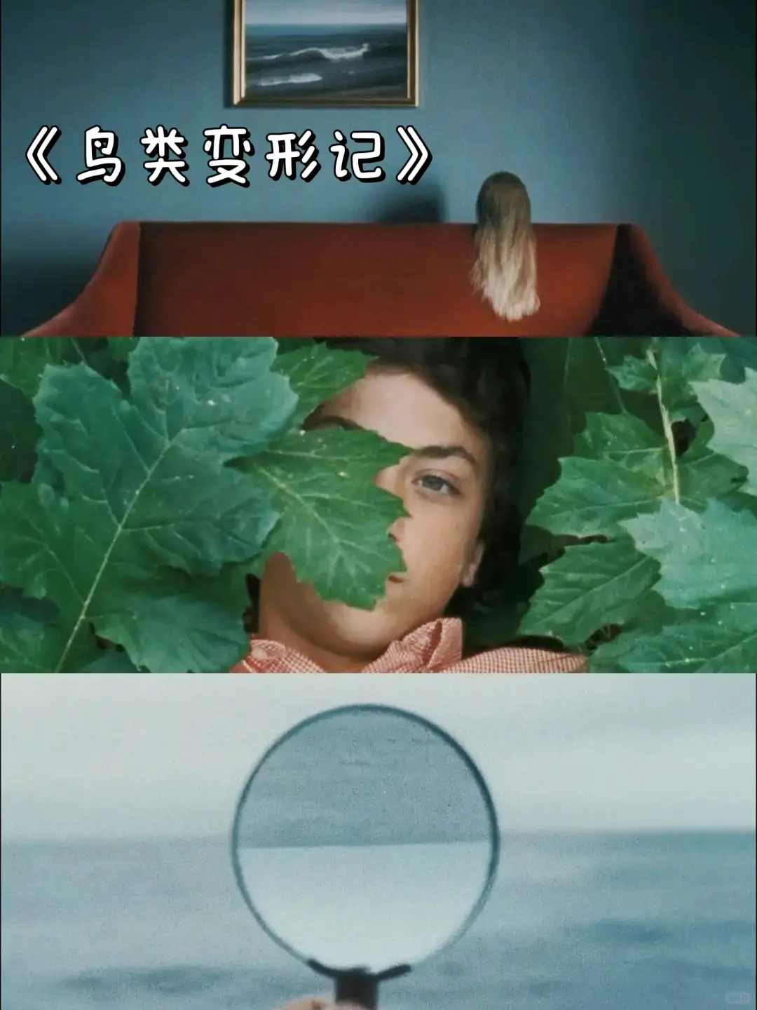 🎬自我美感提升❗电影美学必看清单❗