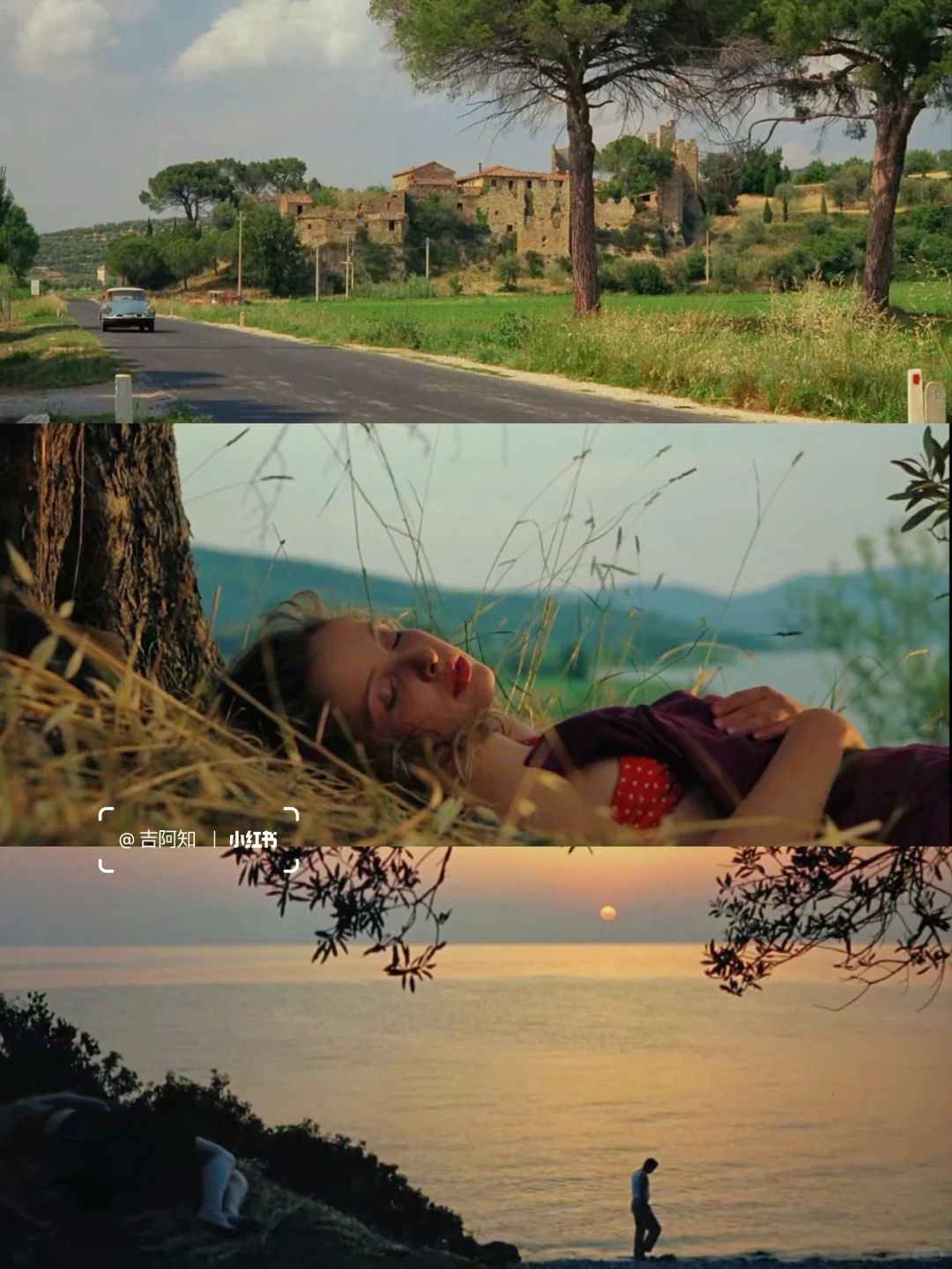 太美了😭怎么会有这么美的电影啊‼️