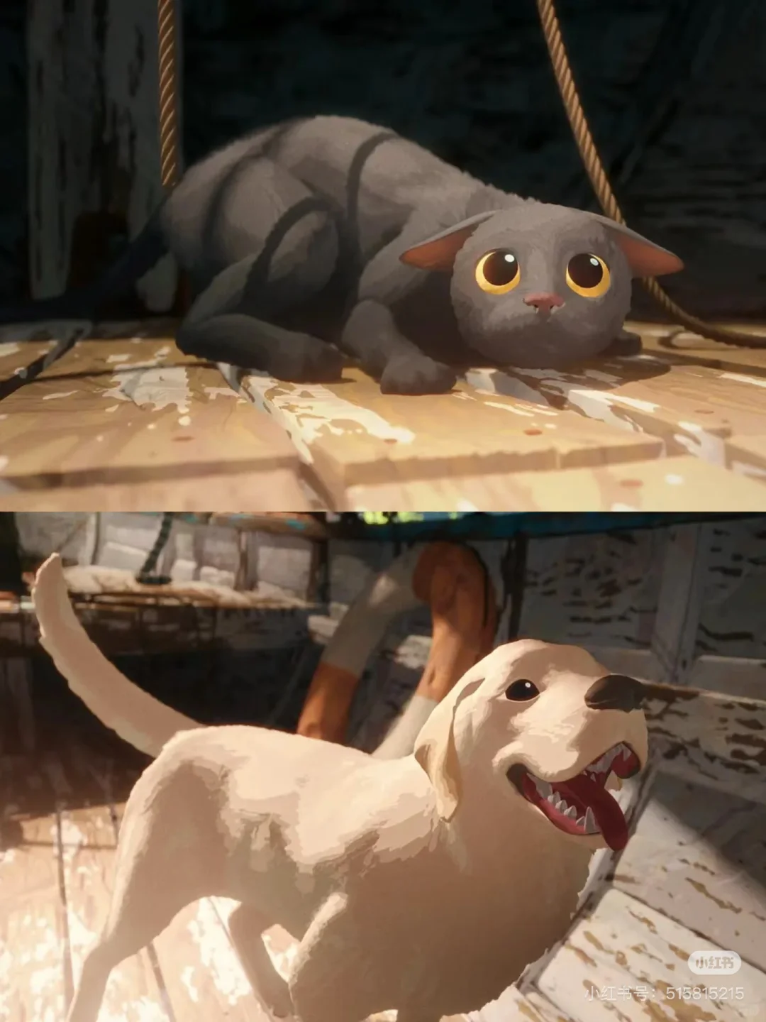 巨好看！！！猫猫的奇幻漂流《Flow》，准备二刷！