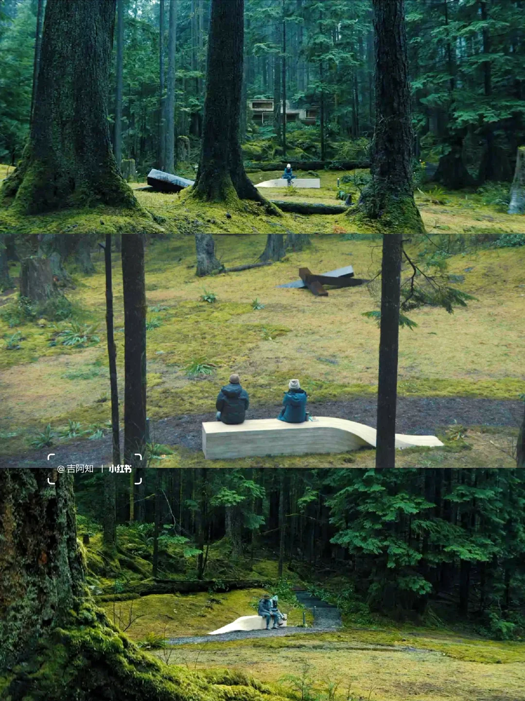 后劲好大啊😭怎么会有这么好看的电影‼️