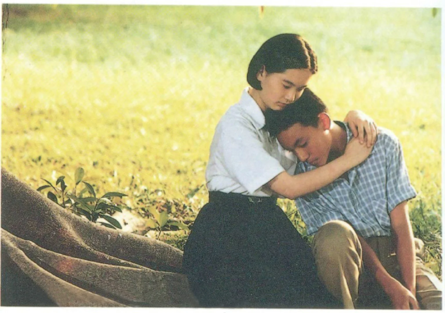 具有文学性的电影推荐