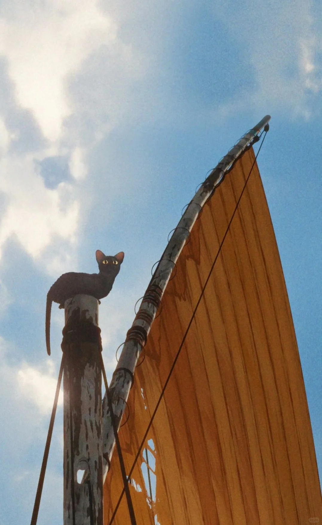 可能是今年最佳的动画长片