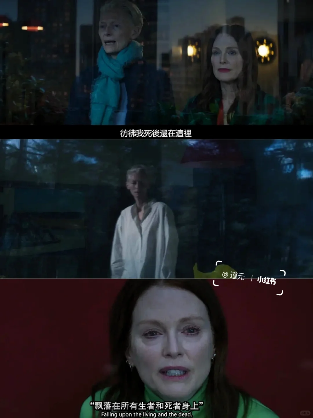 好震撼😭从未想过这是死亡的颜色...