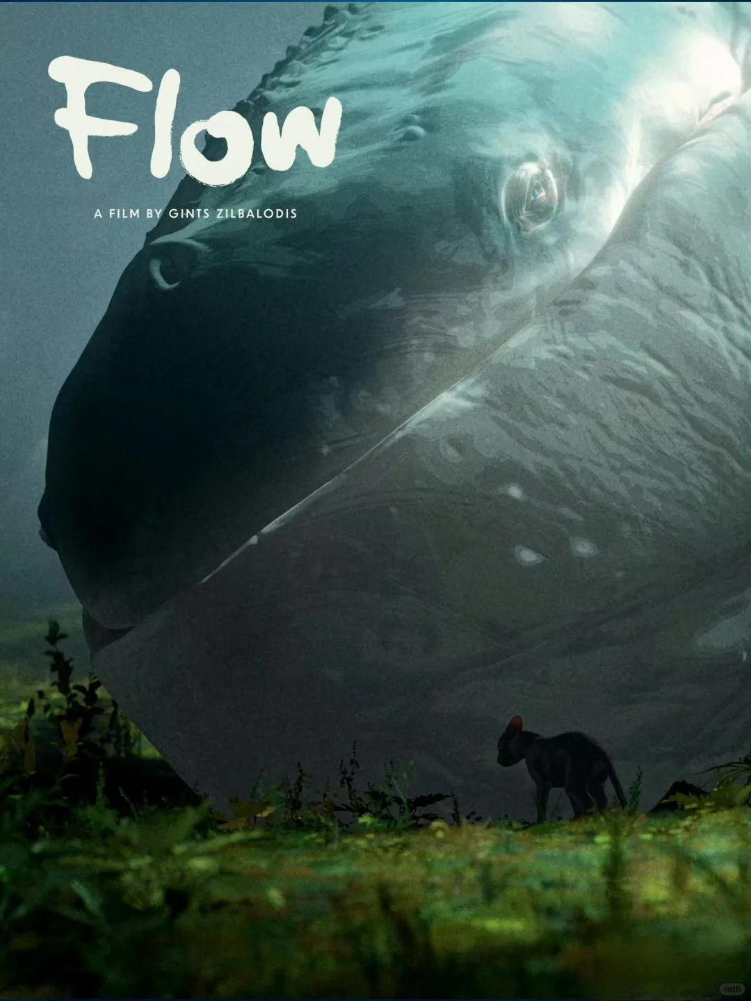 可能是今年最佳的动画长片