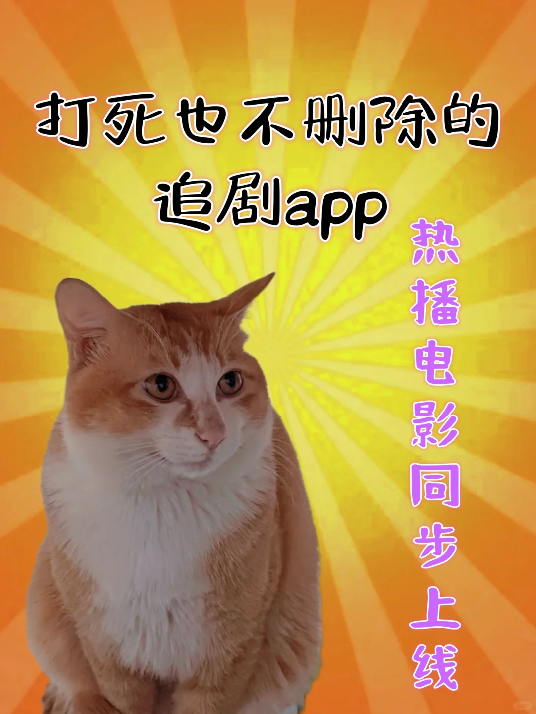 苹果安卓好用的免费追剧app