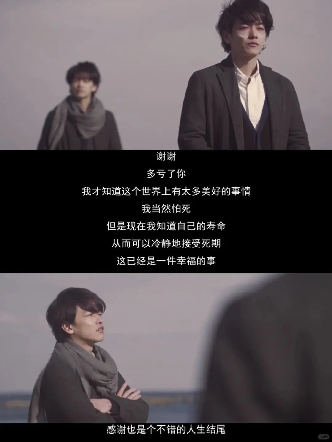 治愈系电影,强烈建议低谷期的你看!