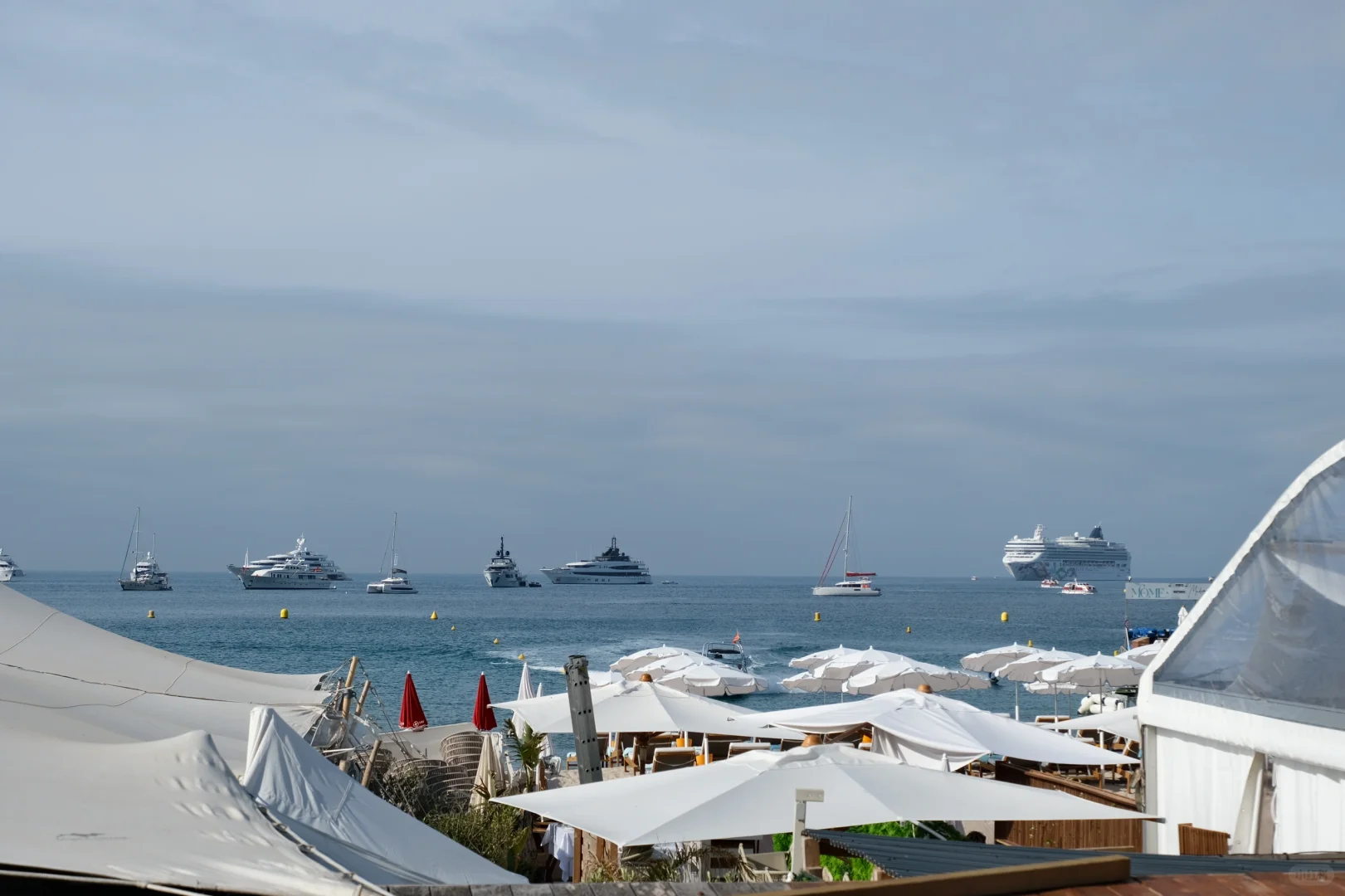 第77届戛纳电影节