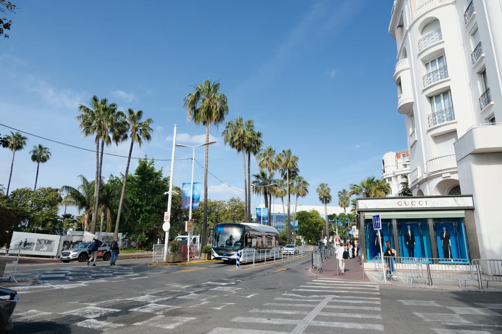 第77届戛纳电影节