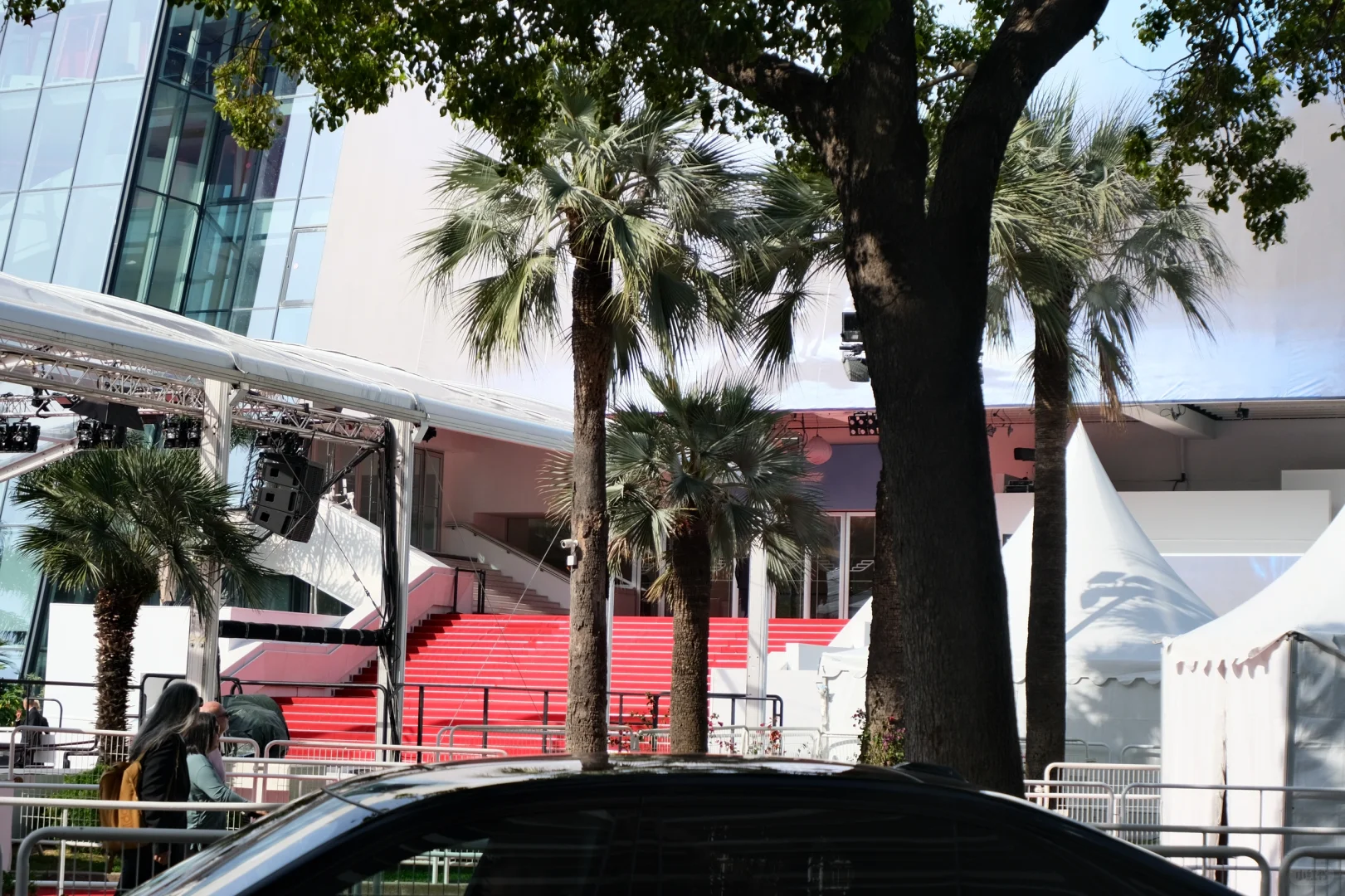 第77届戛纳电影节