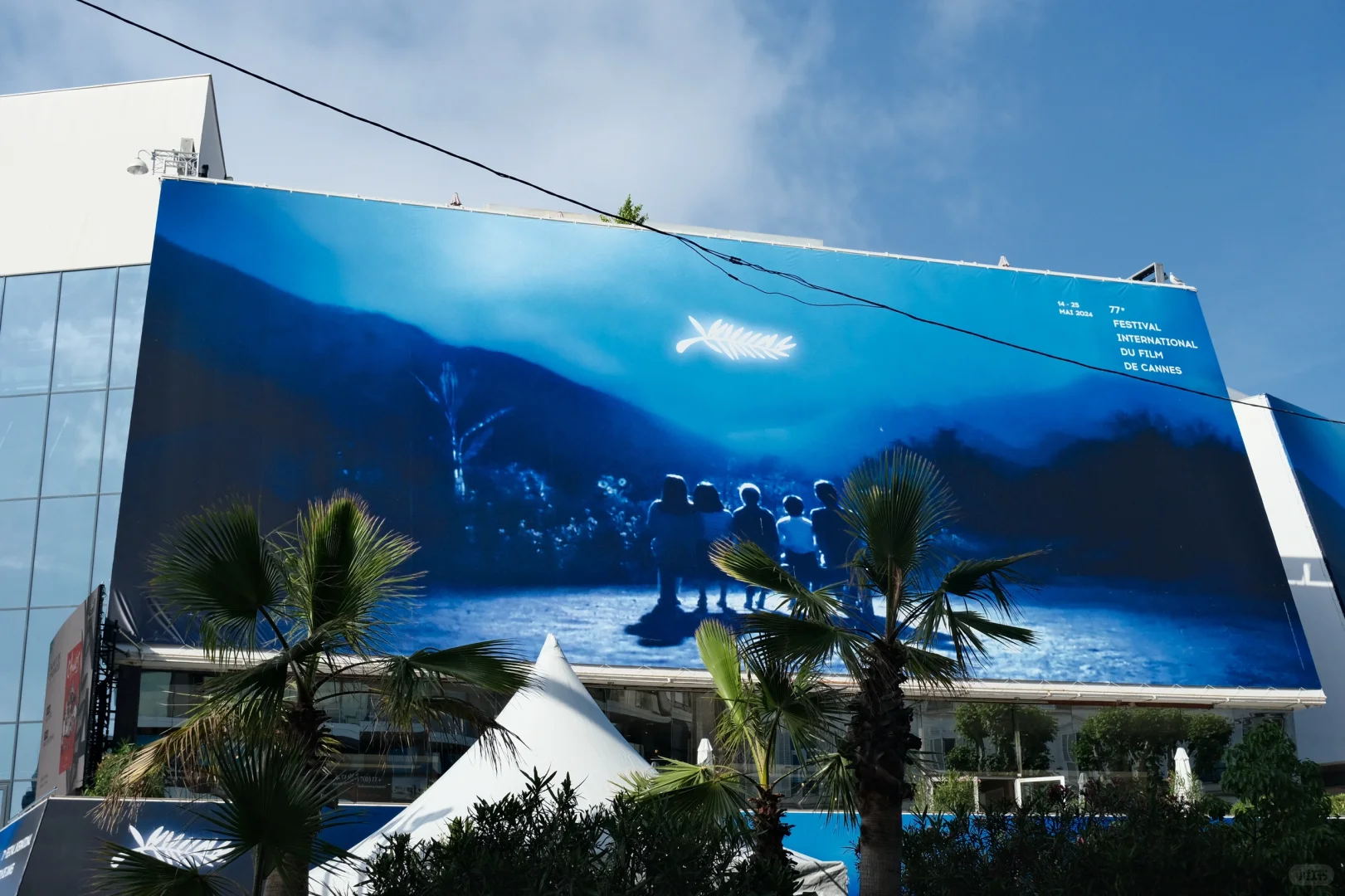 第77届戛纳电影节