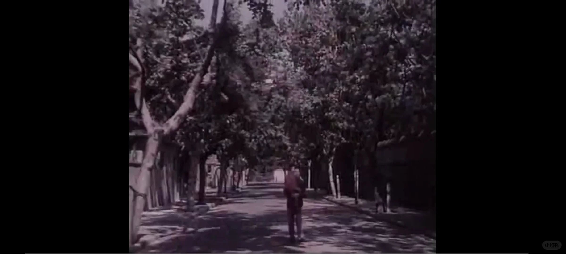 1979上海街景老电影《苦恼人的笑》