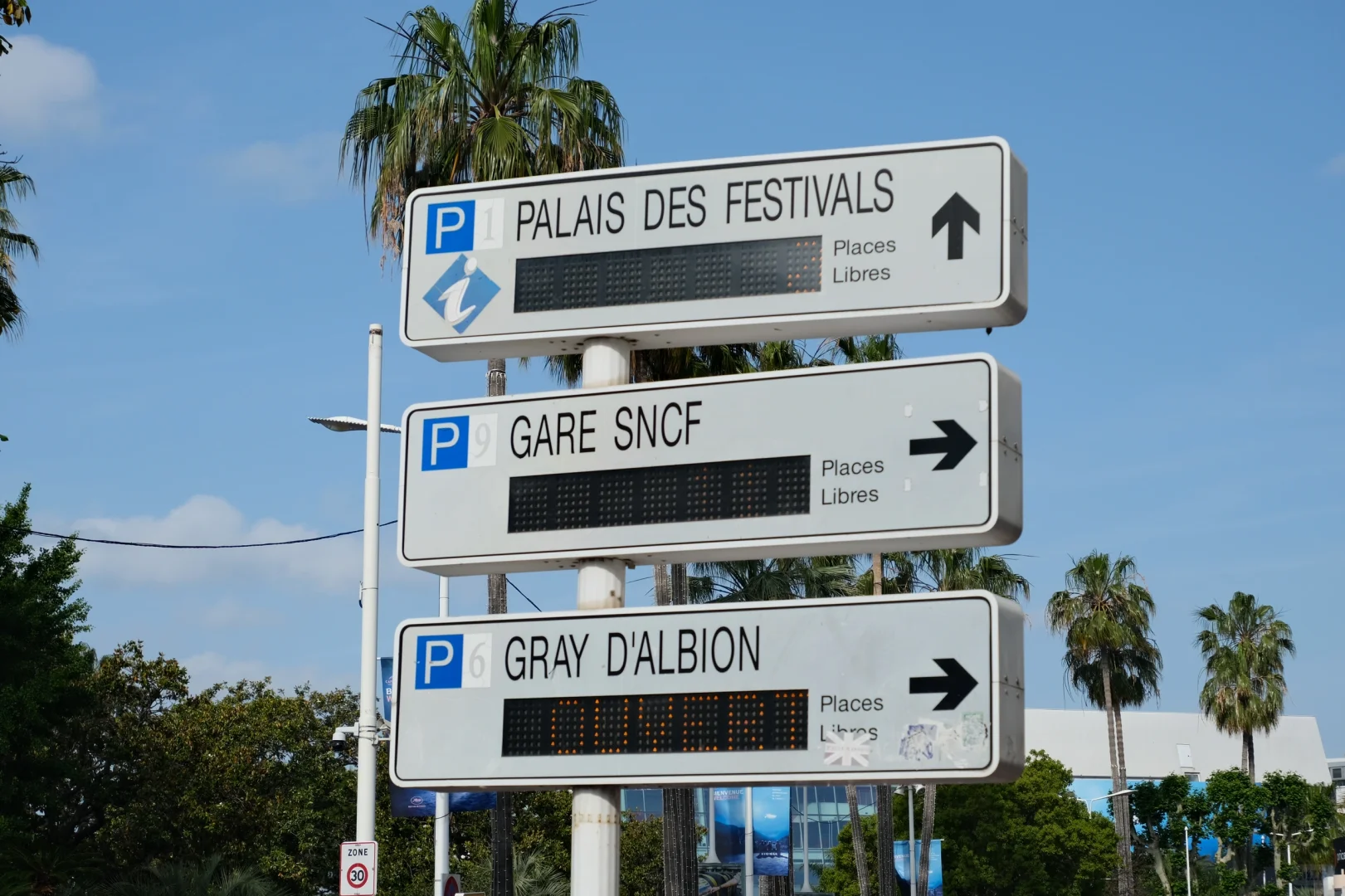 第77届戛纳电影节