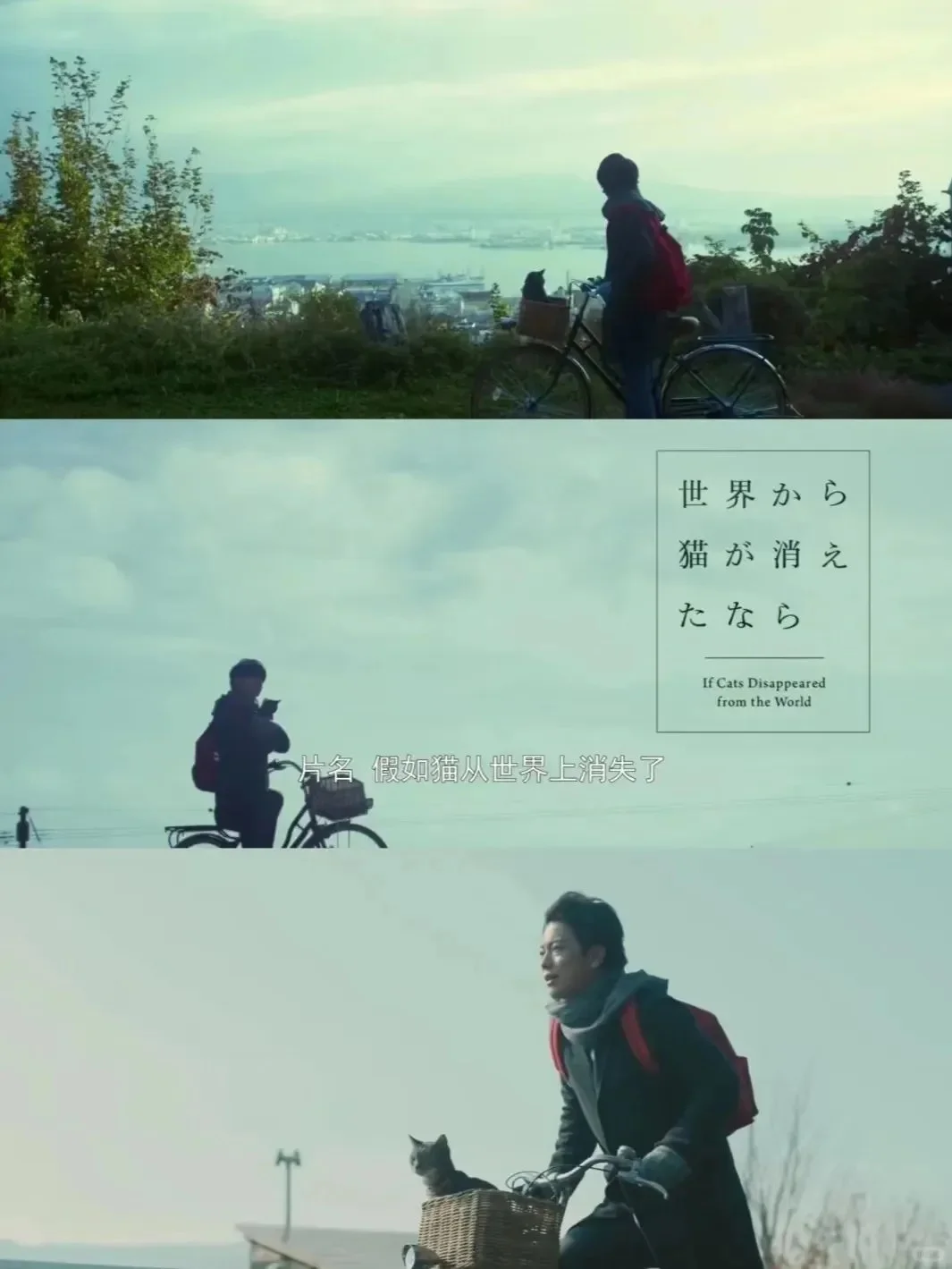 治愈系电影,强烈建议低谷期的你看!