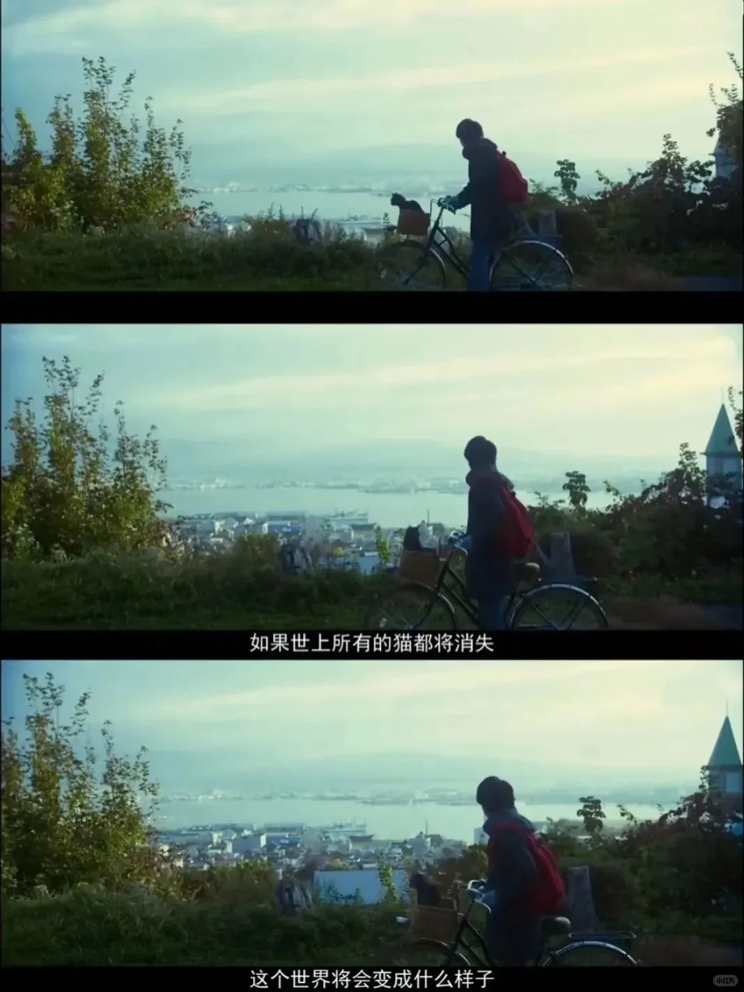 治愈系电影,强烈建议低谷期的你看!