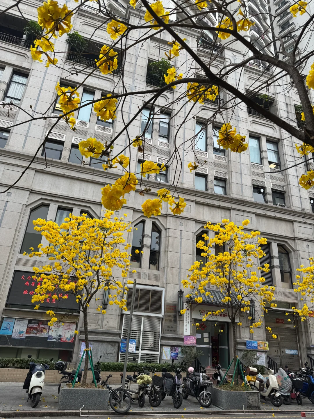 我所热爱的生活