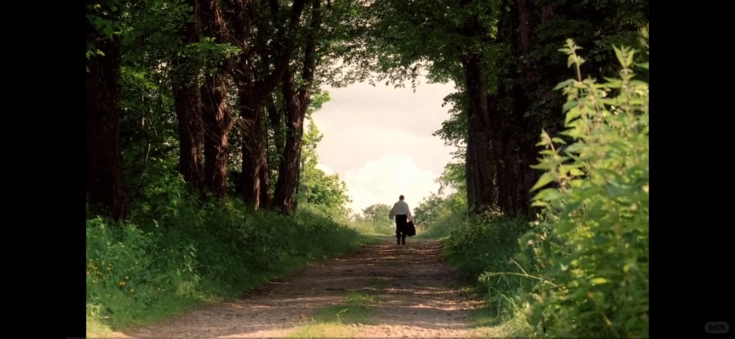 2025看100部电影：NO.1 日出时让悲伤终结