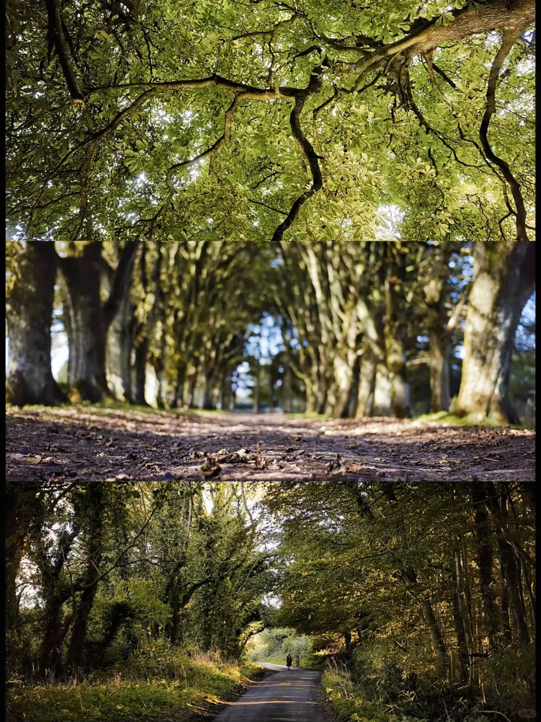此电影是“疲惫时候“你的解药💊