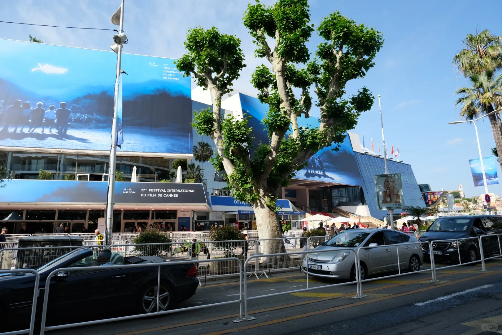 第77届戛纳电影节