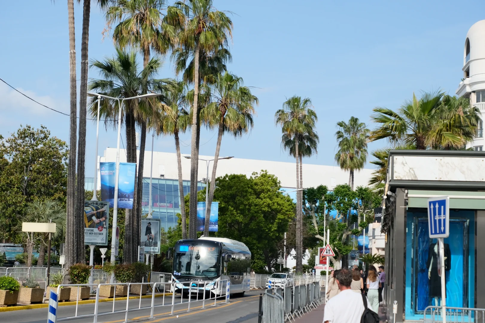 第77届戛纳电影节