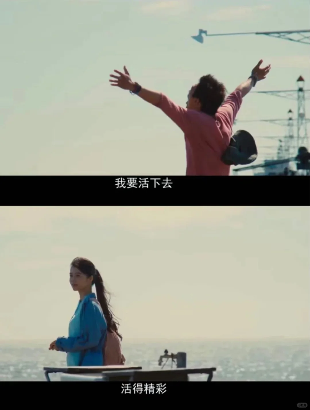 治愈系电影,强烈建议低谷期的你看!