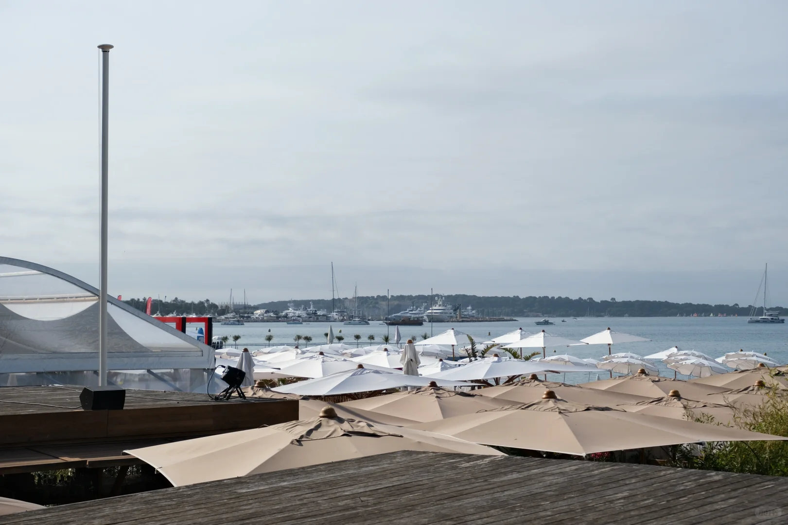 第77届戛纳电影节