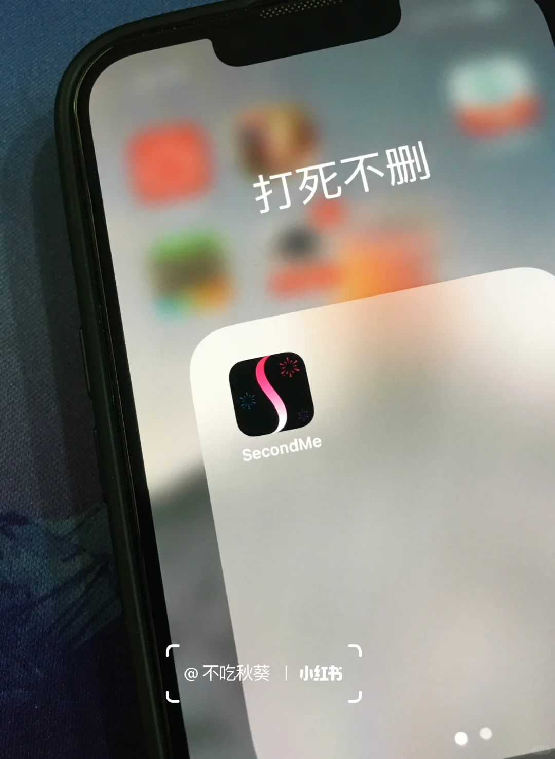 一人说一个你打死不删的app