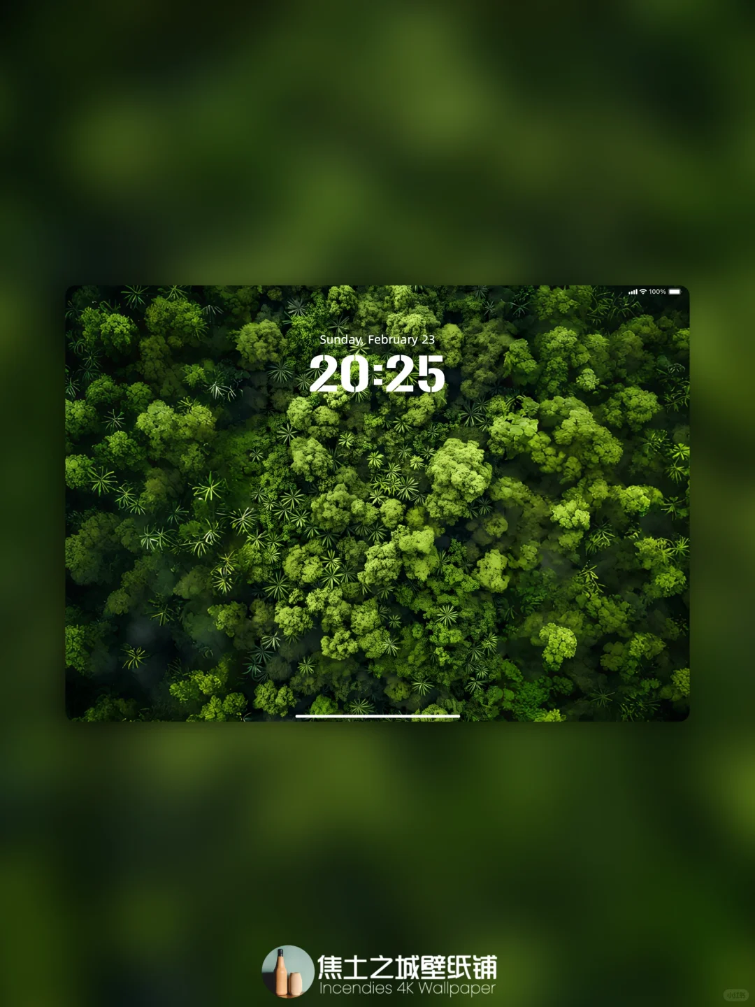 全端壁纸 | 绿意盎然Ⅳ