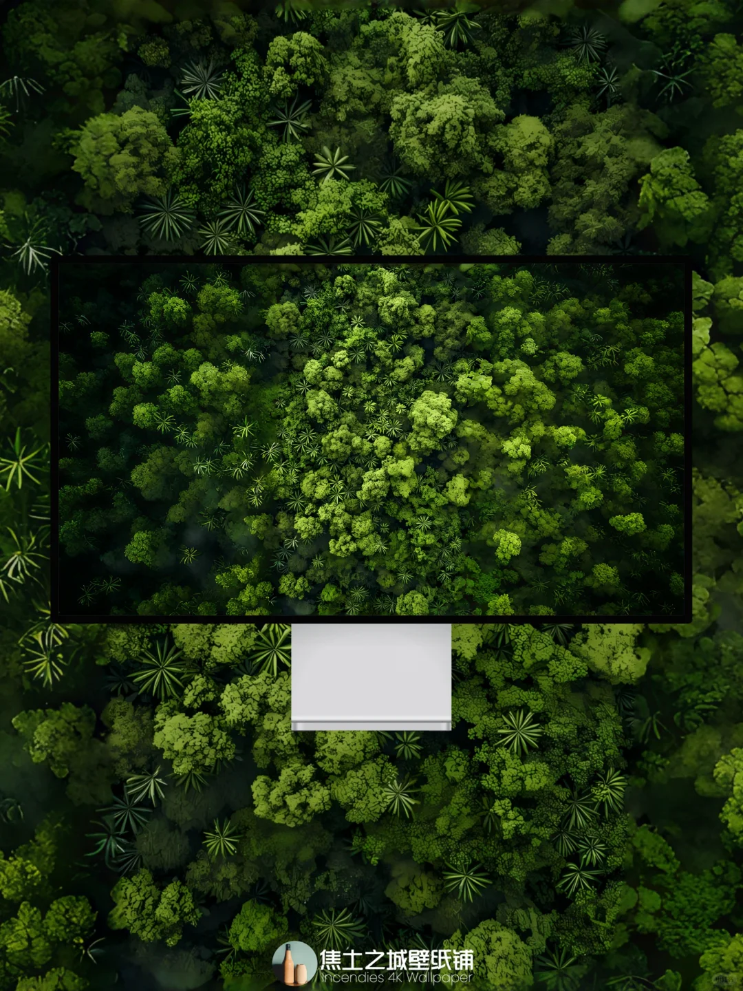 全端壁纸 | 绿意盎然Ⅳ