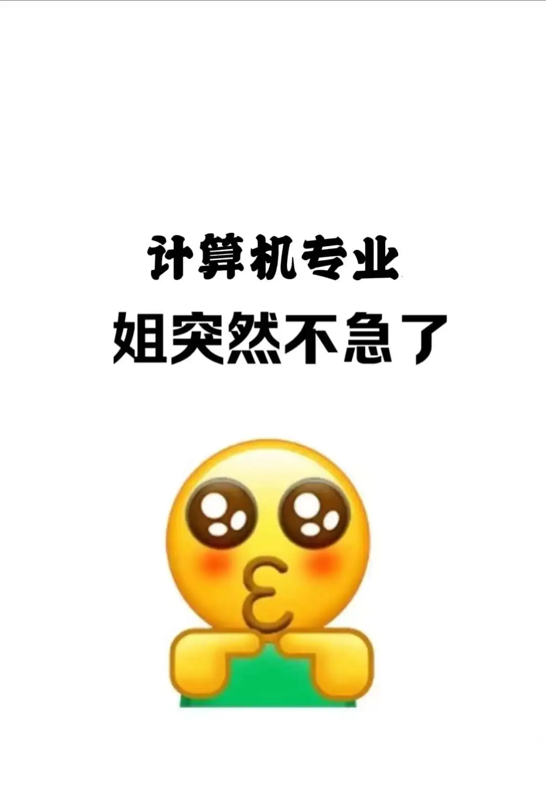 这个软件让我对计算机的兴趣达到了巅峰！