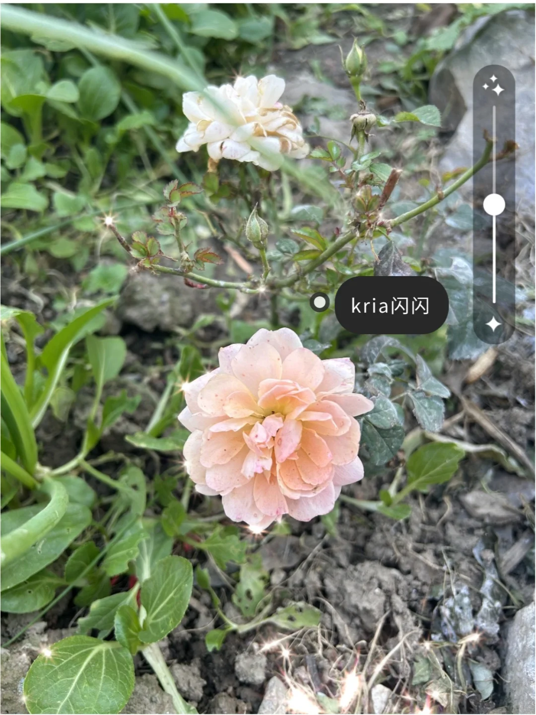 18款拍照修图app|网红必备手机拍照修图软件