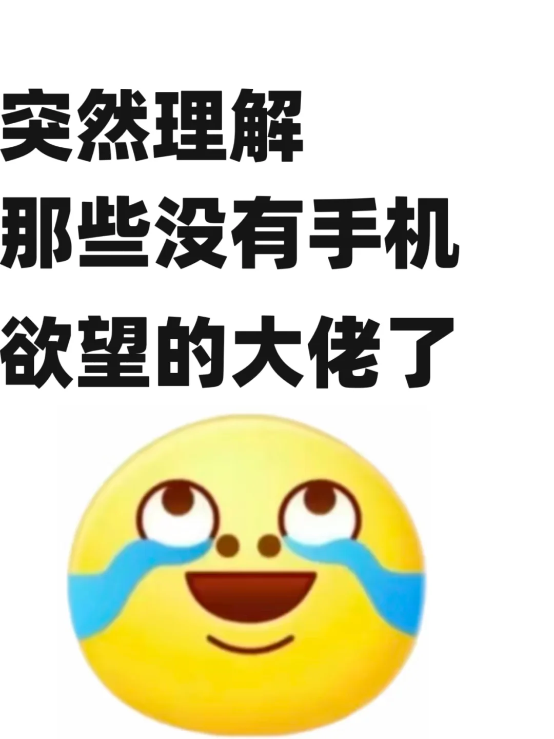 突然理解那些没有手机欲望的大佬了