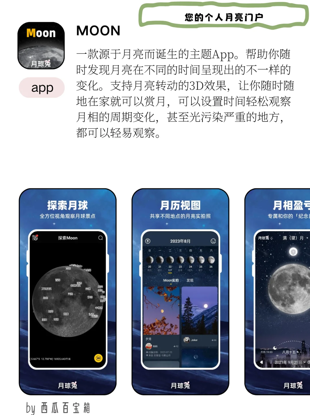 i人周末自救指南｜宅家偷偷变强的8个app