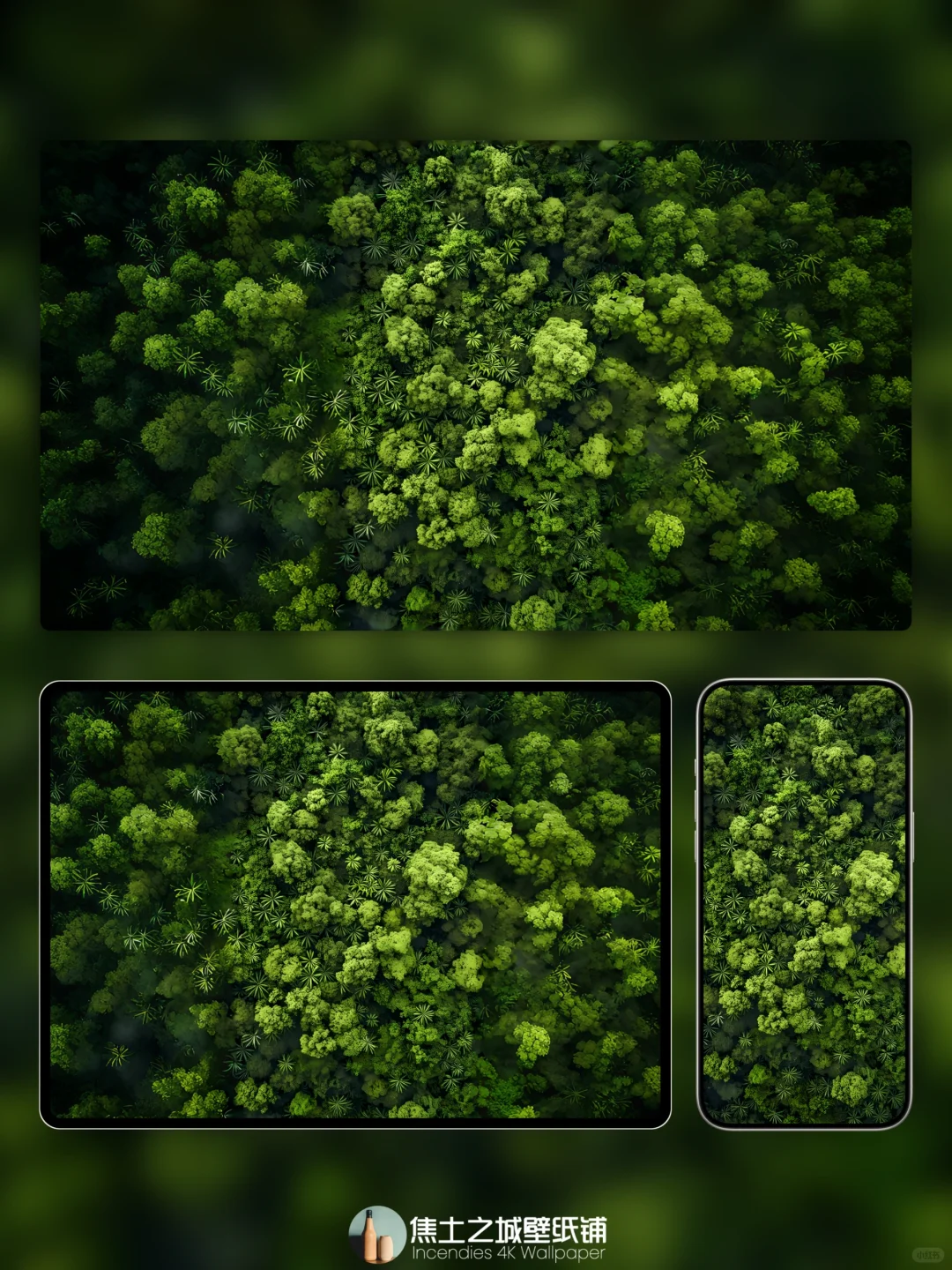 全端壁纸 | 绿意盎然Ⅳ